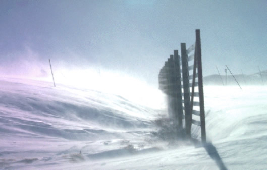 Snow fence